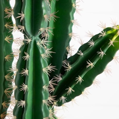 Silky Flower Store Artificial Cactus Terracotta Planter, Nearly Natural Faux Succulent, Desert Style Home Decor, 5ft. 9 9 Product: Nearly Natural 5ft. Artificial Cactus in Terracotta Planter