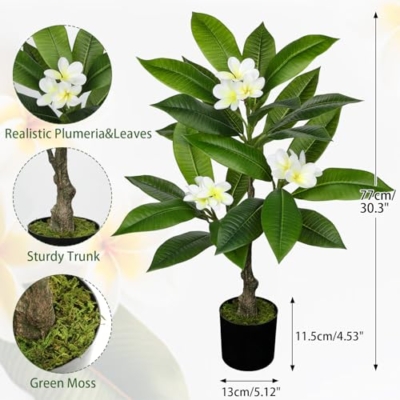 Product: Briful Artificial Plants Indoor 26.77'' Fake Tropical Plumeria Flowers Tree Plants in Black Pot Hawaiian White Plumeria Rubra Faux Frangipani Tree Floor Plant for Home Office Wedding Decor