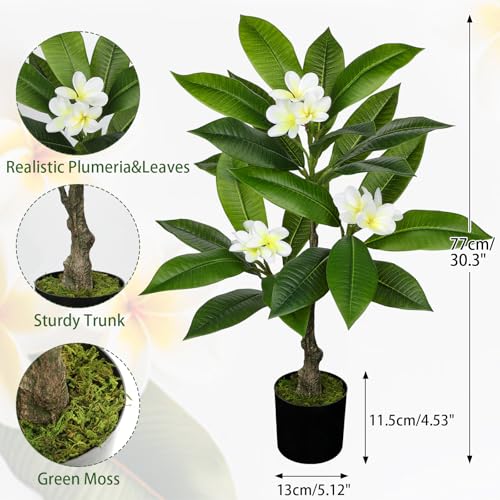 Product: Briful Artificial Plants Indoor 26.77'' Fake Tropical Plumeria Flowers Tree Plants in Black Pot Hawaiian White Plumeria Rubra Faux Frangipani Tree Floor Plant for Home Office Wedding Decor
