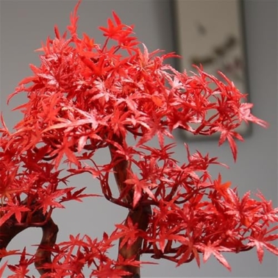 Product: Artificial Bonsai Tree Artificial Red Maple Bonsai Tree with Pots Hotel Desktop Landscaping Fake Plant Decoration Artificial Trees Plants