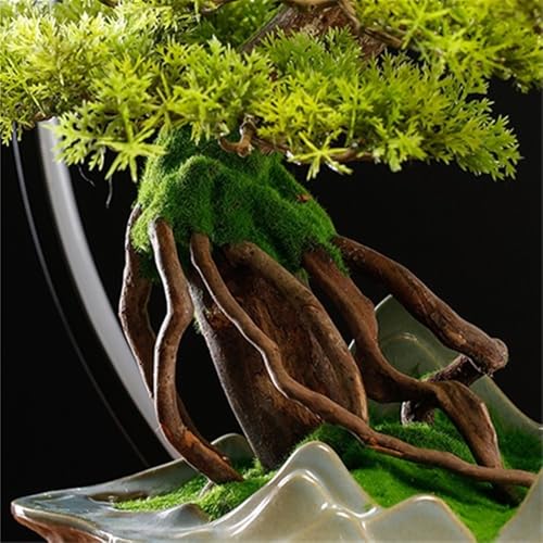 Silky Flower Store Artificial Bonsai Tree Lamp, Simulation Cypress Landscape Decoration Gift, Potted Tabletop Decor 32.5cm 2 2 Product: MOOWI Artificial Bonsai Tree Creative Lamp Circle Simulation Cypress Planting Landscape Decoration Living Room Office Entrance Opening Gift Artificial Trees Plants