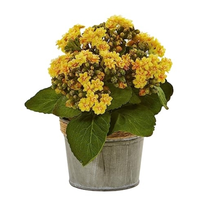 Silky Flower Store Nearly Natural Kalanchoe Artificial Arrangements Set of 3, Pink Yellow Red Blossoms, Faux Greenery Decor, 20.5cm 7 7 Product: Nearly Natural Kalanchoe Artificial Arrangements (Set of 3)