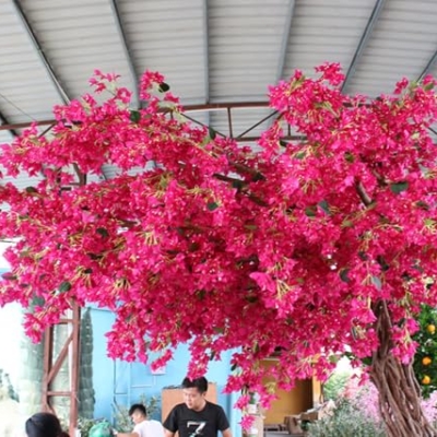 Product: Artificial Bougainvillea Tree, Faux Tree Realistic Bougainvillea Plant with Flowers/Leaves for Home Office Garden Farmhouse Christmas Holiday Decor(2x1.8m/78x72in)