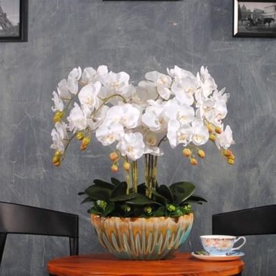 Product: SHUawan Large Artificial Phalaenopsis Orchid in Ceramic Pot – Realistic Silk Flowers for Home, Wedding & Party Decor(White)