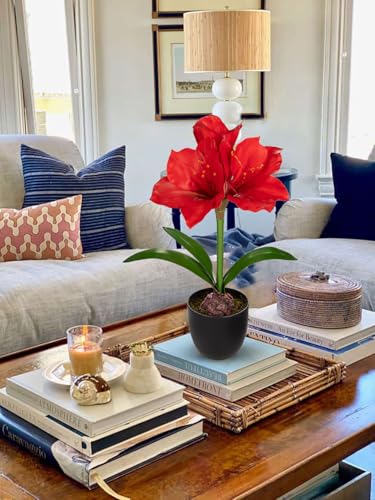 Product: Briful 2 Pack Red Amaryllis Artificial Flower Bundle for Home Office Room Table Vase Arrangement Centerpiece