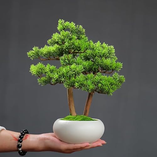 Silky Flower Store Artificial Bonsai Tree, Chinese Feng Shui Desktop Decorative Office Plant, White 20.5cm 4 4 Product: MOOWI Artificial Bonsai Tree Chinese Feng Shui Artificial Bonsai Tree Ornaments Office Desktop Landscaping Fake Green Plants Decorative Artificial Trees Plants(White)