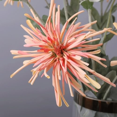 Silky Flower Store Artificial Crab Claw Chrysanthemum Faux Flower, Multi Color Home Decor, Living Room Accent, 32.5cm 7 7 Product: DUYHBAWRS Simulated Flower Multi-Color Crab Claw Chrysanthemum Home Soft Decoration, Living Room Decoration,(C)