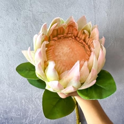 Product: Real Touch King Protea Stem, Large Head Artificial Flower for Indoor Vase Home Table Centerpieces Wedding(NO VASE) Used for Dining Table Center, Wedding Parties, and