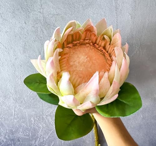 Product: Real Touch King Protea Stem, Large Head Artificial Flower for Indoor Vase Home Table Centerpieces Wedding(NO VASE) Used for Dining Table Center, Wedding Parties, and