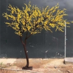 Product: Simulation of Winter Jasmine Tree, Small Yellow Flower Yellow Plant Fake Tree Large Indoor Living Room Floor Floral Art Happiness Tree Decoration 3.5M