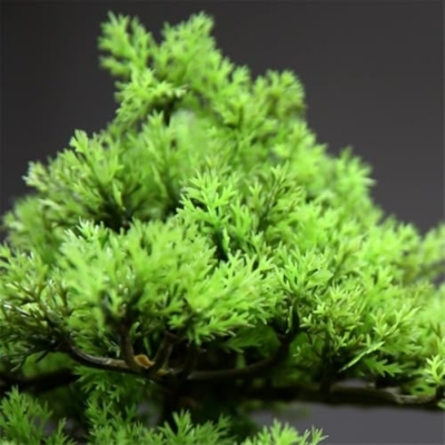 Product: MOOWI Artificial Bonsai Tree New Chinese Simulation Tree Office Decorative Ornaments Living Room Entrance Hotel Greenery Bonsai Light Luxury Artificial Trees Plants
