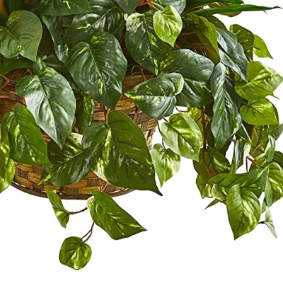 Product: Nearly Natural 31in. Bromeliad & Pothos Artificial Plant in Hanging Basket