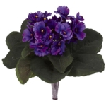 Product: Nearly Natural 9” African Violet (Set of 6) Artificial Plant, Purple