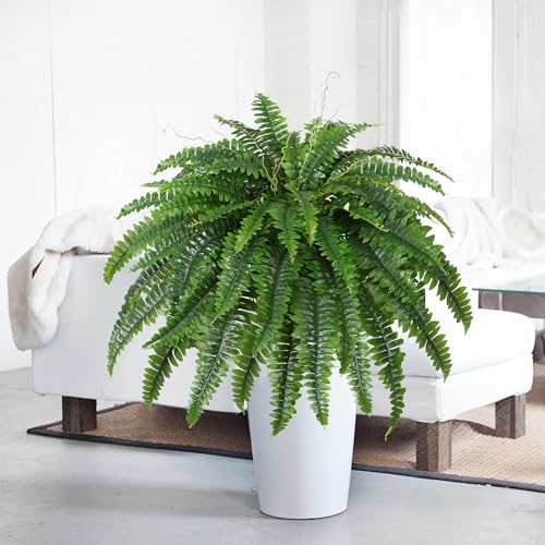 Product: Dkaltm Artificial Boston Fern Bush- Set of 2 Large Artificial Ferns for Outdoors, 45Inch Large Faux Ferns, Suitable for Office & Living Room Decor, 55Branches for Each Bouquet