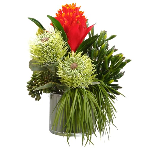 Product: 12" Hx11 W Artificial Bromeliad, Succulent & Grass Flower Arrangement w/Glass Vase -Red/Green