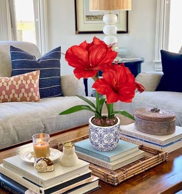 Product: Briful 2 Pack Red Amaryllis Artificial Flower Bundle for Home Office Room Table Vase Arrangement Centerpiece