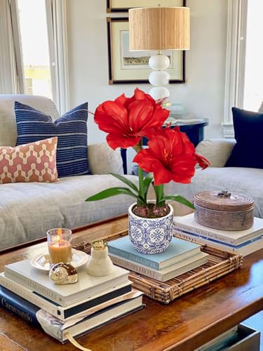 Product: Briful 2 Pack Red Amaryllis Artificial Flower Bundle for Home Office Room Table Vase Arrangement Centerpiece