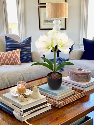 Product: Briful 2 Pack White Amaryllis Artificial Flower Bundle for Home Office Room Table Vase Arrangement Centerpiece