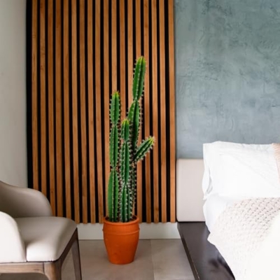 Silky Flower Store Artificial Cactus Terracotta Planter, Nearly Natural Faux Succulent, Desert Style Home Decor, 5ft. 12 12 Product: Nearly Natural 5ft. Artificial Cactus in Terracotta Planter