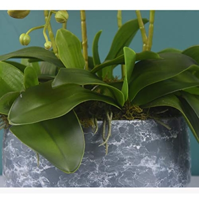 Product: QSYJCCXDL 6 Heads Artificial Orchid with Ceramic Pot Set Artificial Phalaenopsis Flower Faux Orchid for Home/Bedroom/Parlor/Dining Room Decor Table Centerpiece Office Wedding Party Decoration