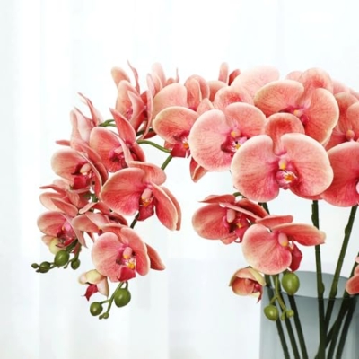 Product: DUYHBAWRS Phalaenopsis Orchid Home Decoration, Living Room Decoration, Artificial Flowers, Bonsai Decorations,(A)