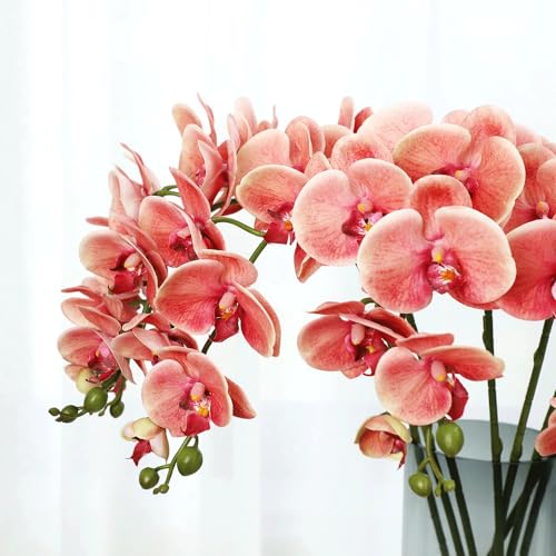 Product: DUYHBAWRS Phalaenopsis Orchid Home Decoration, Living Room Decoration, Artificial Flowers, Bonsai Decorations,(A)