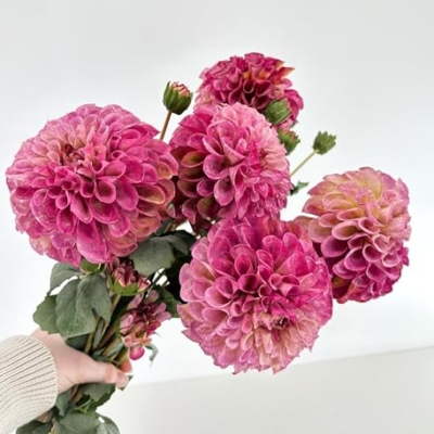 Product: 3PCS 31" Purple Dahlia Flowers,Realistic Artificial Dahlia for Wedding Home Table Centerpieces Decoration Floral Arrangement (NO VASE)