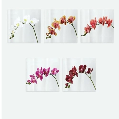 Product: DUYHBAWRS Phalaenopsis Orchid Home Decoration, Living Room Decoration, Artificial Flowers, Bonsai Decorations,(A)