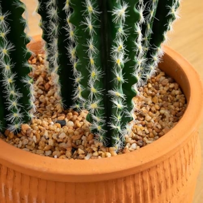 Silky Flower Store Artificial Cactus in Terracotta Planter, Desert Decor Faux Plant, 41in. ഉയ 10 10 Product: Nearly Natural 41in. Artificial Cactus in Terracotta Planter