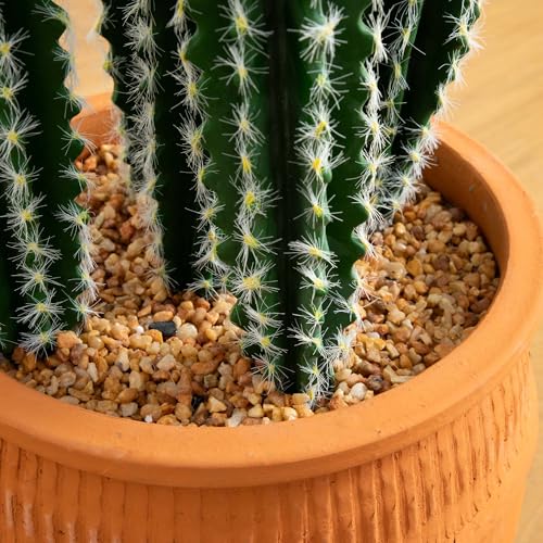 Silky Flower Store Artificial Cactus in Terracotta Planter, Desert Decor Faux Plant, 41in. ഉയ 3 3 Product: Nearly Natural 41in. Artificial Cactus in Terracotta Planter