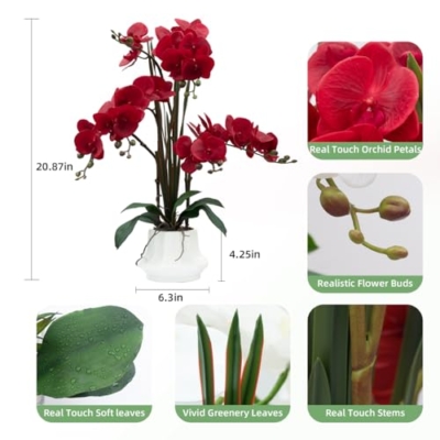 Product: CXGS Artificial Orchid Flower Plant 20.9'' Real Touch Faux Orchids in Ceramic Vase Red Fake Phalaenopsis Flower Arrangement Silk Orchids with Stems for Centerpiece Table Home Indoor Decor