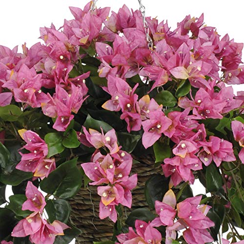 Product: House of Silk Flowers Artificial Orchid/Pink Bougainvillea Hanging Basket