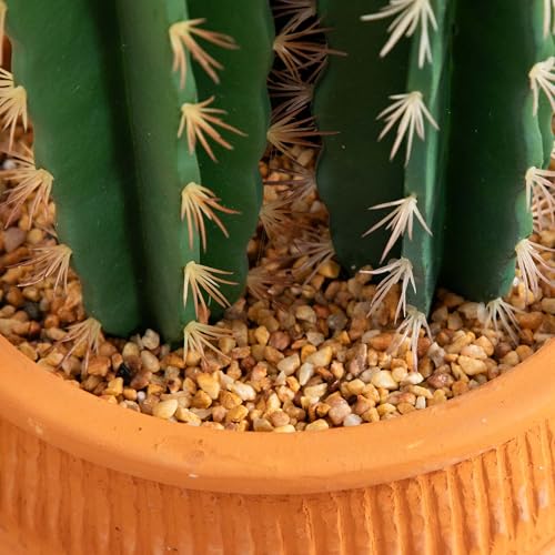 Silky Flower Store Artificial Cactus Terracotta Planter, Nearly Natural Faux Succulent, Desert Style Home Decor, 5ft. 3 3 Product: Nearly Natural 5ft. Artificial Cactus in Terracotta Planter