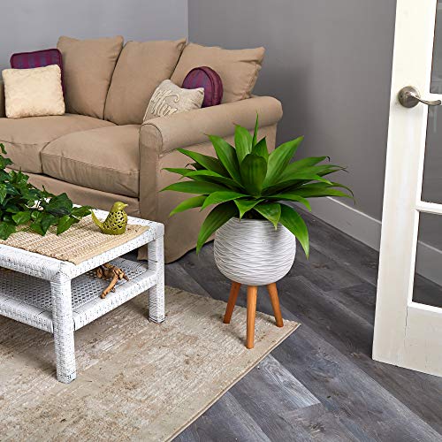 Silky Flower Store Artificial Agave Succulent Plant, White Tri Pod Planter, Mid Century Modern Indoor Decor, 33in. 4 4 Product: Nearly Natural 33in. Agave Succulent Artificial Plant in White Planter with Stand