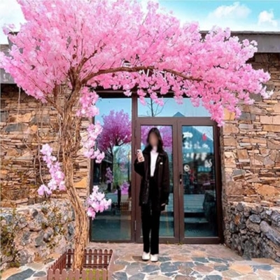 Product: Handmade Light Pink Tree Indoor, Artificial Cherry Blossom Trees, with Blossom Branches, with Natural Wood Trunk and Lifelike Flowers for Home Office Party Wedding Decor,001,1.5 * 1.2m/4.9x3.9ft