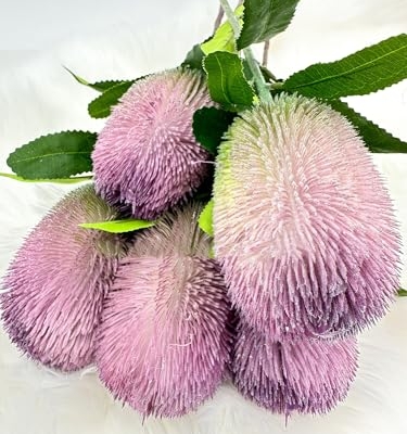 Product: 5 Stems Banksia Protea Stem,Purple Artificial Long Stem Flower for Table Centerpieces Wedding Party Home Decoration Indoor(NO VASE) for Wedding/Home Decoration