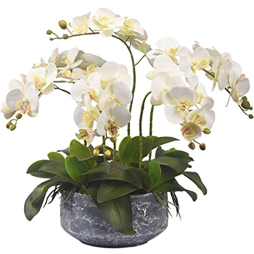 Product: QSYJCCXDL 6 Heads Artificial Orchid with Ceramic Pot Set Artificial Phalaenopsis Flower Faux Orchid for Home/Bedroom/Parlor/Dining Room Decor Table Centerpiece Office Wedding Party Decoration