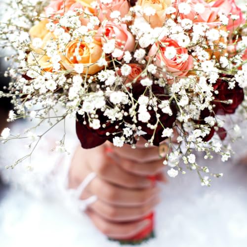 Product: Babys Breath Artificial Flowers, 30Pcs Fake White Babys Breath Flowers Artificial Bulk, Real Touch Faux Babies Breath Gypsophila Bouquet for Wedding Floral Arrangement Party Decor,Home Decoration (60)