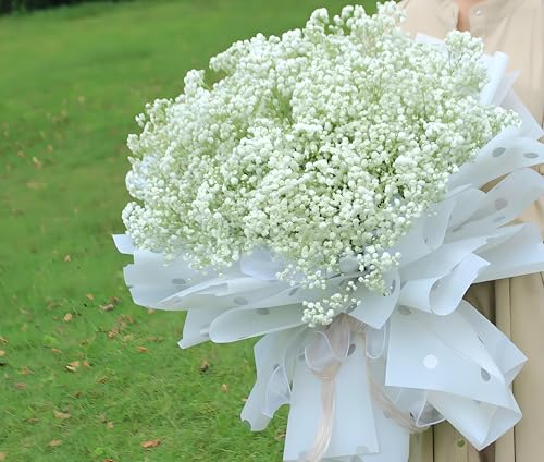 Product: Babys Breath Artificial Flowers, 30Pcs Fake White Babys Breath Flowers Artificial Bulk, Real Touch Faux Babies Breath Gypsophila Bouquet for Wedding Floral Arrangement Party Decor,Home Decoration (60)