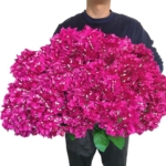 Product: Artificial Bougainvillea Bush Silk Flowers Bouquet for Home Garden Wedding Decor Bougainvillea Flower Shrubs (Violet - Pack of 12)