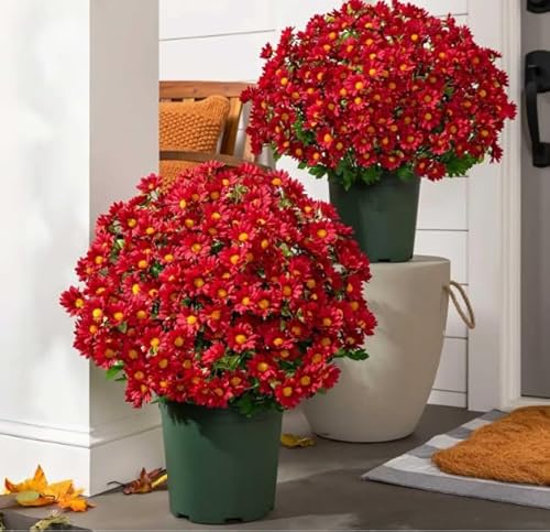 Product: Artificial Sunset Mums Artificial Outdoor Sunset Mums Flowers - UV Resistant Waterproof Windproof for Outside Home Indoor Planter Never Faded Look Real, Full, Vibrant (Scarlet, 25Bundles)