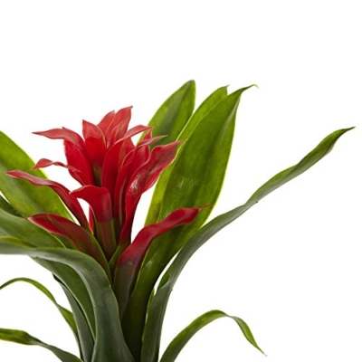 Product: Nearly Natural 11in. Bromeliad Artificial Flower Stem, Set of 6