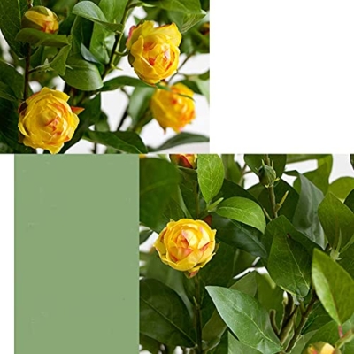 Product: Fake Flower Artificial Flowers Outdoor,90cm/35.43Inch Large Artificial Silk Camellia Flowers with Glass Vase,for Wedding Party Home Decoration Artificial Plant