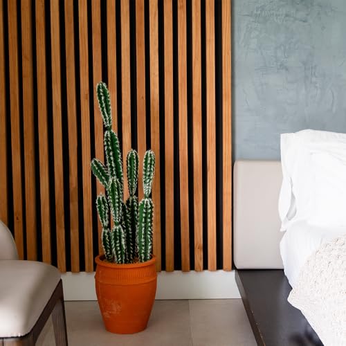 Silky Flower Store Artificial Cactus in Terracotta Planter, Desert Decor Faux Plant, 41in. ഉയ 5 5 Product: Nearly Natural 41in. Artificial Cactus in Terracotta Planter