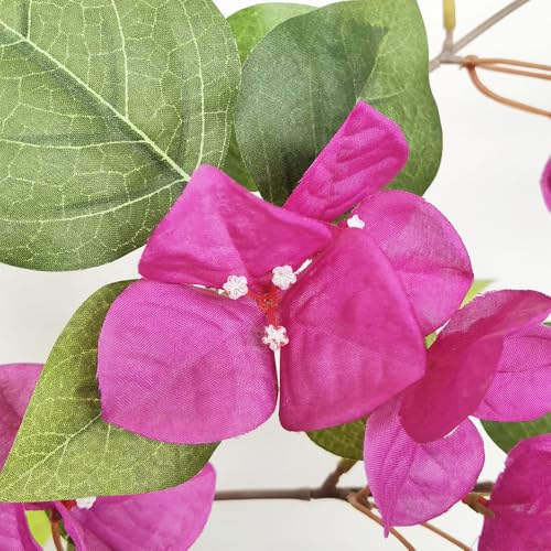 Silky Flower Store Artificial Bougainvillea Blossom Tree, Fake Plant Decor, Lifelike Faux Floral Tree, Indoor Home Office Accent, 135 cm 3 3 Product: Artificial Bougainvillea Blossom Tree 53.15 in / 135 Cm Fake Plant for Home Decor Fake Bougainvillea Tree Bougainvillea Decor