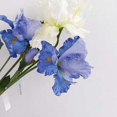 Product: DUYHBAWRS Simulated Flower Decorations, Single Branch Artificial Flowers, Wedding Decorations, Iris Flowers(A)