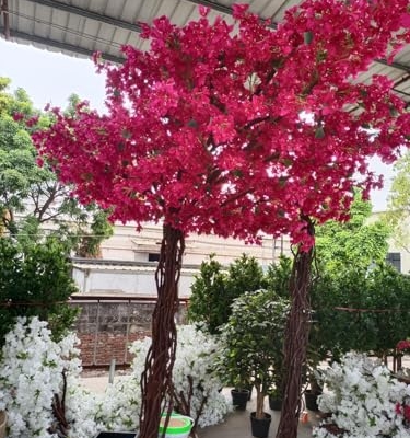 Product: Artificial Bougainvillea Tree, Faux Tree Realistic Bougainvillea Plant with Flowers/Leaves for Home Office Garden Farmhouse Christmas Holiday Decor(2x1.8m/78x72in)