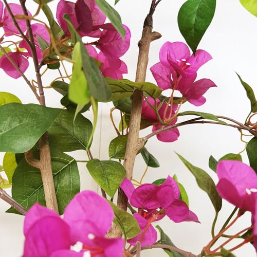 Silky Flower Store Artificial Bougainvillea Blossom Tree, Fake Plant Decor, Lifelike Faux Floral Tree, Indoor Home Office Accent, 135 cm 4 4 Product: Artificial Bougainvillea Blossom Tree 53.15 in / 135 Cm Fake Plant for Home Decor Fake Bougainvillea Tree Bougainvillea Decor