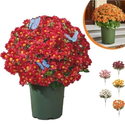 Product: Artificial Sunset Mums Artificial Outdoor Sunset Mums Flowers - UV Resistant Waterproof Windproof for Outside Home Indoor Planter Never Faded Look Real, Full, Vibrant (Scarlet, 25Bundles)