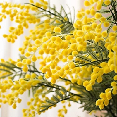 Silky Flower Store Decorative Artificial Acacia Yellow Mimosa Silk Flowers, Faux UV Resistant Floral Arrangement, 3PCS 32.5cm 14 14 Product: KG7HQRP Decorative Artificial Flowers Artificial Acacia Yellow Mimosa Plush Cherry Fake Silk Flower for DIY Wedding Birthday Party Decors 3PCS (Color : Style 1) (Style 2)